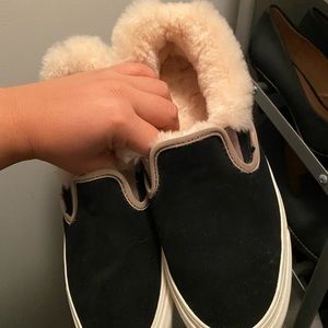 Used Fuzzy Vans